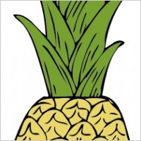Pineapple clip art