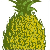 Pineapple clip art