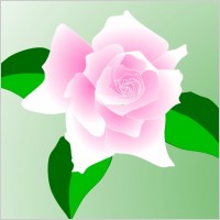 Pink-rose clip art