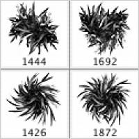 Plant Brushes