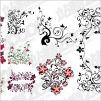 Plant flowers vector