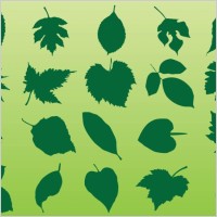 Plant Leaves Vectors