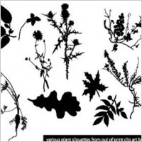 Plant silhouettes vector