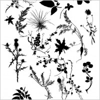 PLANT SILOUETTES