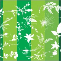 Plants Silhouettes Nature Graphics