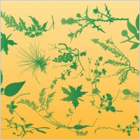 Plants Vector Graphics