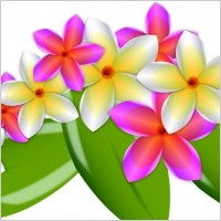 Plumeria Vector Flowers