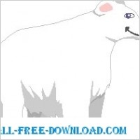 Polar Bear 3