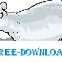 Polar Bear 8