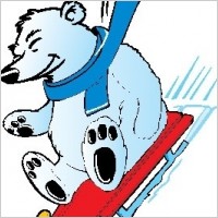 Polar Bear Sledding