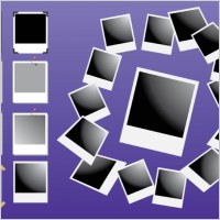 Polaroid Vectors