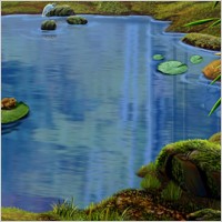 Ponds, lotus leaf, the frog