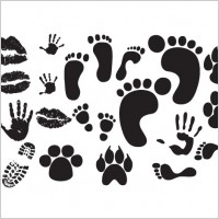 

								Print Vectors							