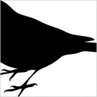 Profile Of A Bird clip art