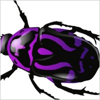 Beetle Purple