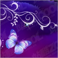 Butterfly Purple Background