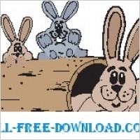 Rabbit Family 1
