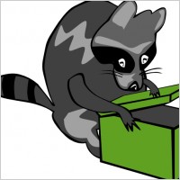 Raccoon Opening Box clip art