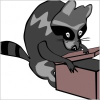 Raccoon Opening Box clip art
