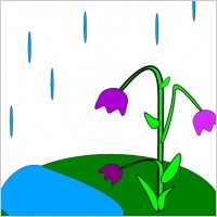 Rain Flowers clip art