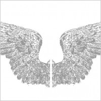 Random Free Vectors Part 4 – Wings