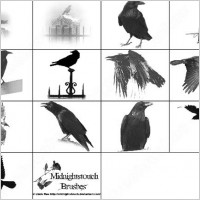 raven ps 7 brush