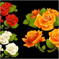Realisitic Vector Roses