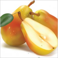 realistic fruit 04 vector