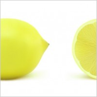 realistic fruit 05 vector