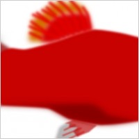 Red Aquarium Fish clip art