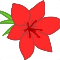 Red flower