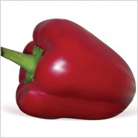 

								Red Pepper							