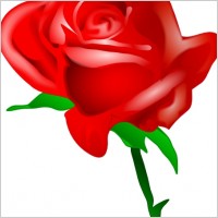 Red Rose clip art