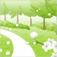 Road with tow every tree