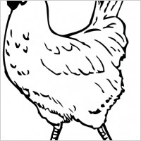 Rooster clip art