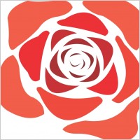 Rose 2