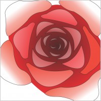 Rose 3