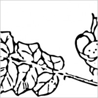 Rose Branch clip art