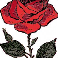 Rose clip art
