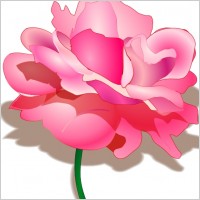Rose clip art