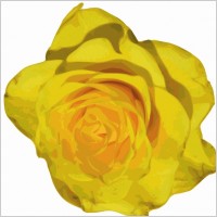 Rose clip art