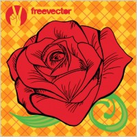 Rose Vector