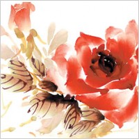 Rose watercolor style layered psd