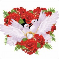 Roses and Pigeons Vector Illustration