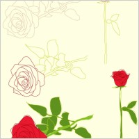 Roses Illustrations