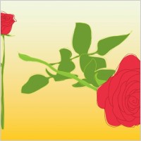 Roses Vector