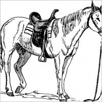 saddled horse