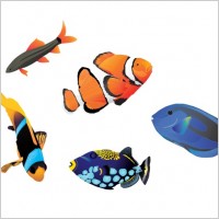 

								Saltwater Fish							