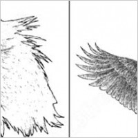 sample file from hand drawn wings, eagle and skull vector and photoshop brush