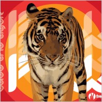 Save the Tiger